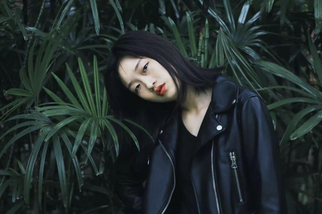 森林的奇迹