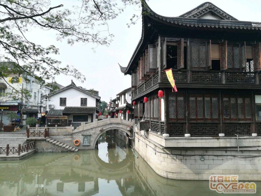 公交“让”出温情斑马线